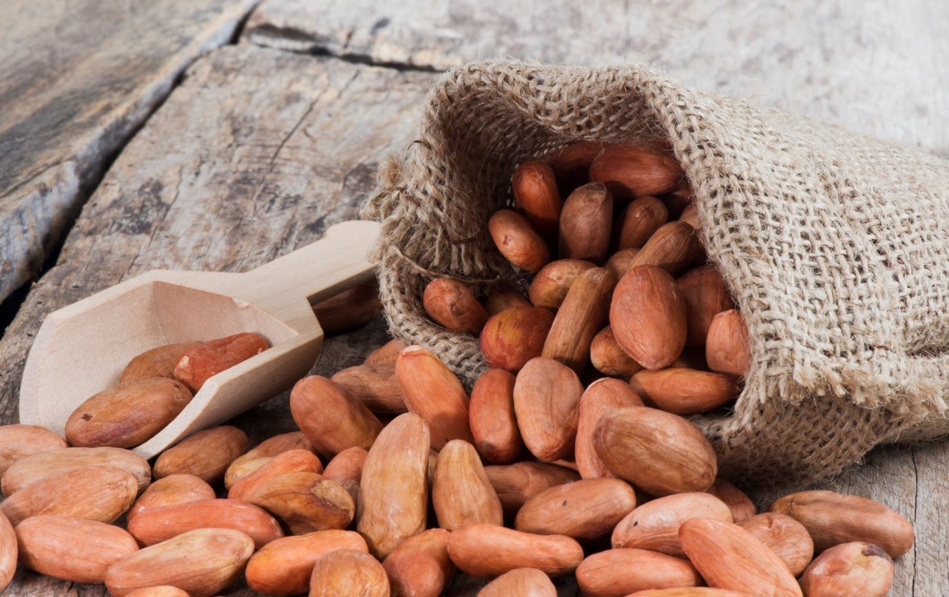 Chocolate negro y diabetes ¿es posible su consumo? Expertos de Pacari resuelven la duda