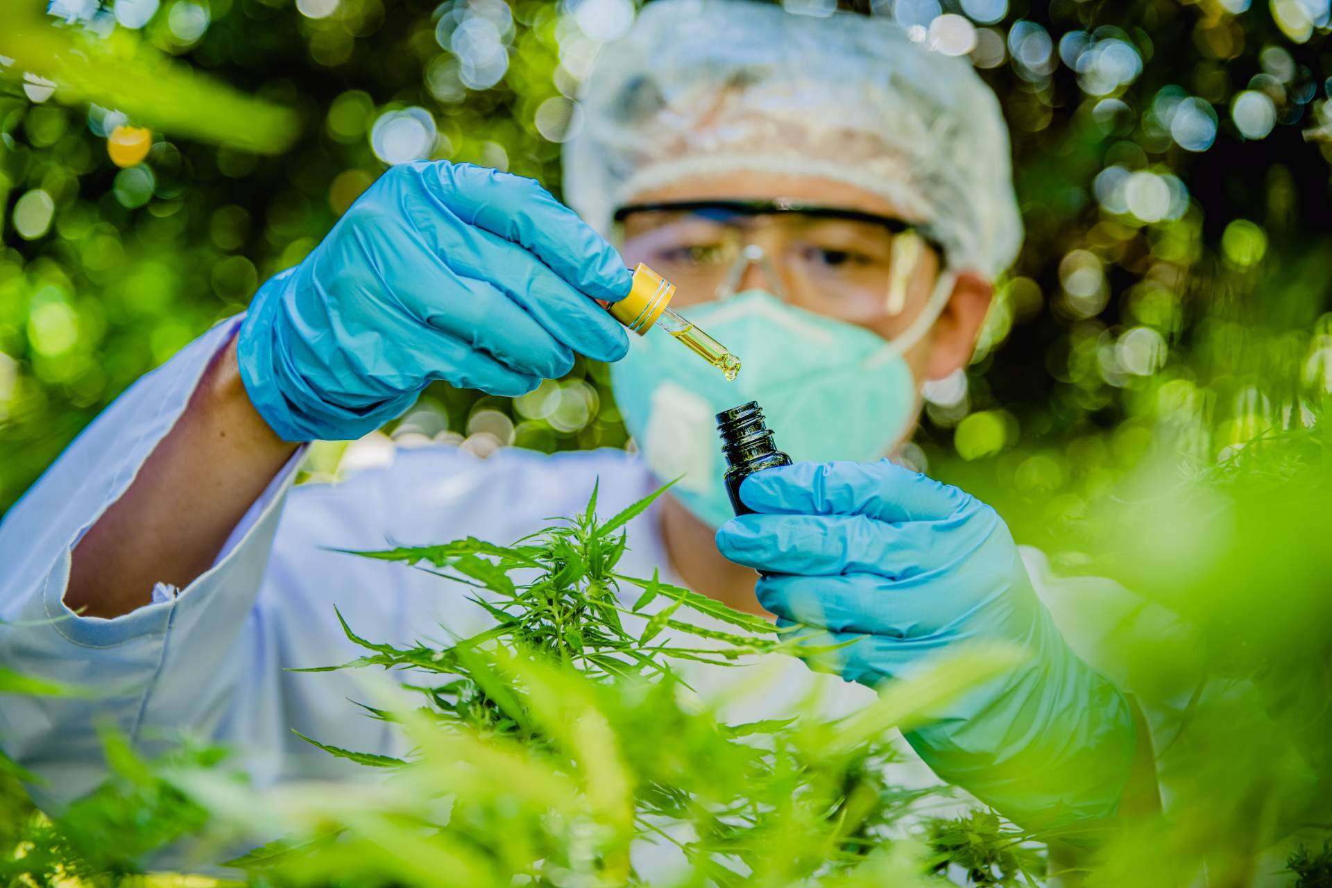 Los beneficios del aceite CBD para potenciar el rendimiento deportivo, por Arkano CBD