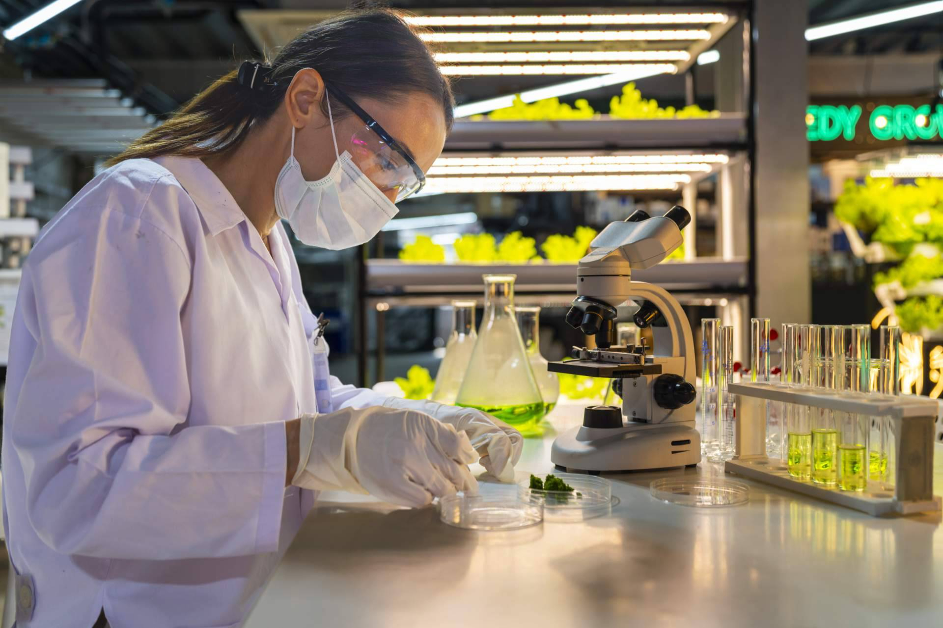La ciencia del suelo toma protagonismo; biofertilización y agricultura regenerativa desde Argentina