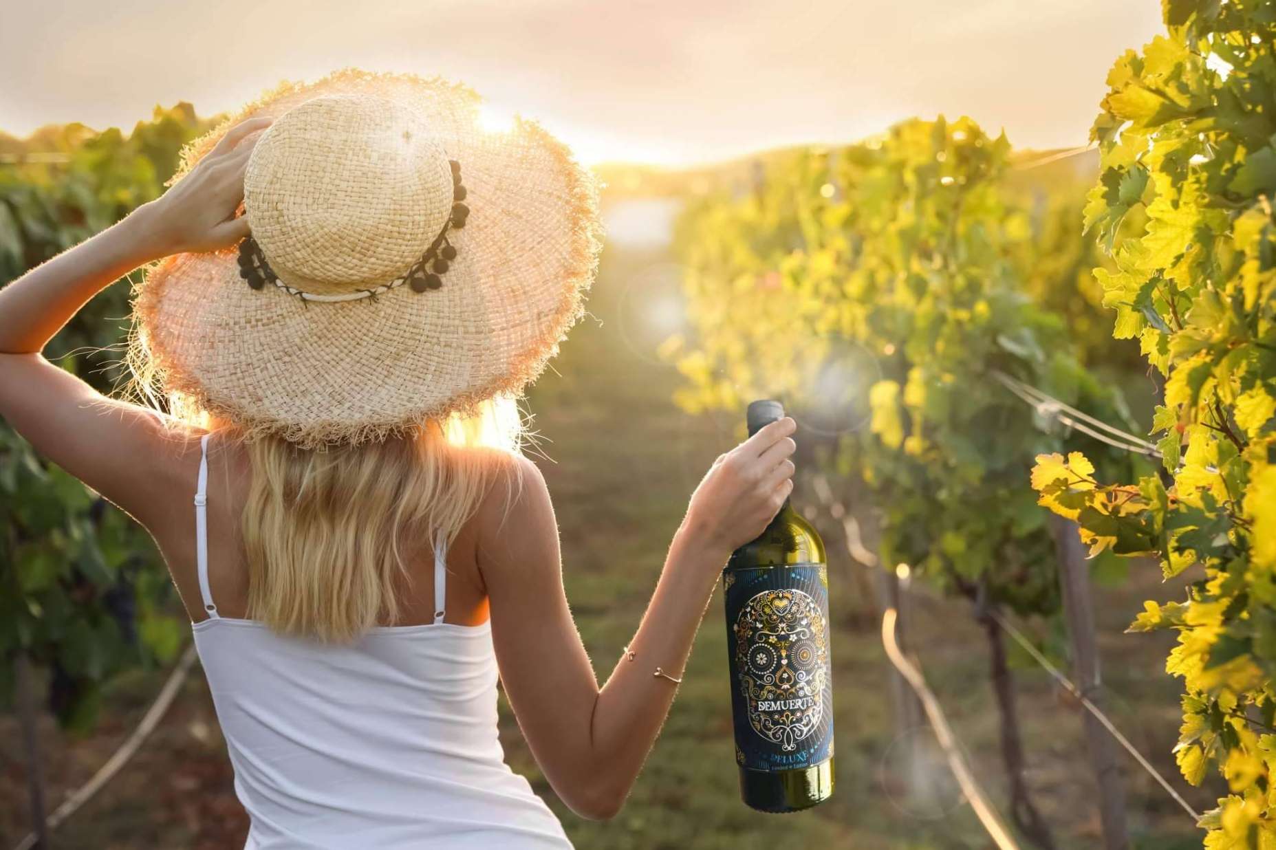 ¿A qué temperatura se recomienda servir cada variedad de vino?